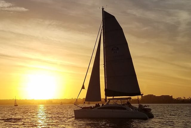 Fun Cat Sailing Sunset.